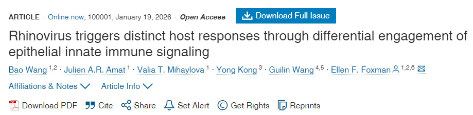 鼻病毒通過(guò)差異性利用上皮細(xì)胞先天免疫信號(hào)傳導(dǎo)機(jī)制觸發(fā)不同的宿主反應(yīng)
