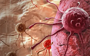 超級增強子導(dǎo)致腫瘤持續(xù)演化并更具侵襲性