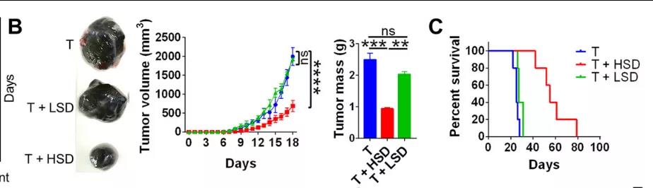 鹽要漲價了！Science子刊揭示：高鹽飲食或可誘導有效的腫瘤免疫！