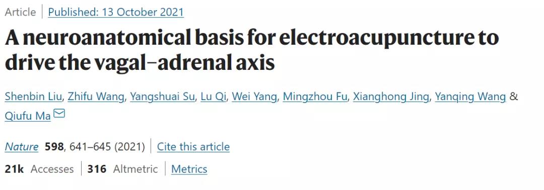 Nature：針灸不再是“玄學(xué)”！中美科學(xué)家證明針灸的神經(jīng)解剖學(xué)原理