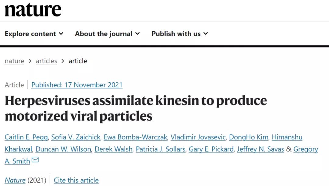 《Nature》：皰疹病毒看似“低調(diào)的青銅” ，實則“神秘的強(qiáng)者”