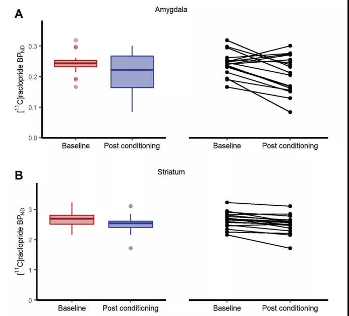 一朝被蛇咬，十年怕井繩，找到了科學依據(jù)！最新研究揭示“恐怖分子”多巴胺如何參與人類恐懼記憶形成