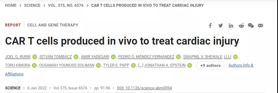 CAR-T技術(shù)再升級！無需體外編程T細(xì)胞，一針注射修復(fù)受損心臟，省錢又省心！