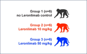 Nature 新研究：硬核預(yù)防HIV，艾滋病還會是“不治之癥”嗎？