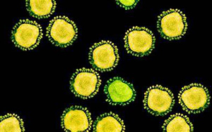 傳播速度快！新變體BA.2.12.1“風(fēng)靡”北美