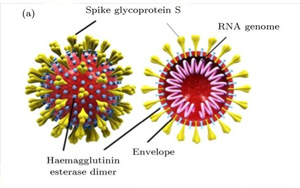 Nature：流感疫苗竟可降低90%的新冠重癥！