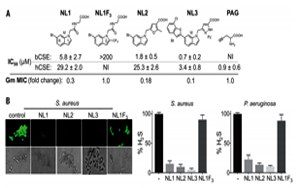 抗生素濫用問題如何解決？Science 新研究揭示抗生素輔助抑制劑的新進展