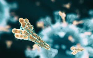 震驚！多數(shù)國(guó)人體內(nèi)無有效抗體，國(guó)產(chǎn)新冠mRNA疫苗或安全有效！