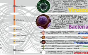 極端高溫只是開始，更致命的警告在后面：58%人類病原體獲得強化