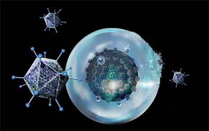 “抗癌利器”療效再提升！賓大研究團(tuán)隊(duì)開發(fā)的免疫療法CAR-T再獲突破