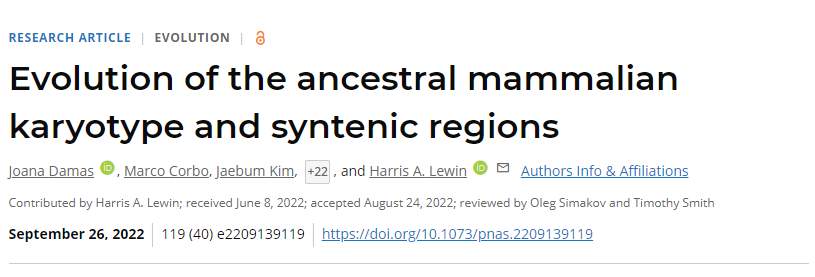 國際研究團(tuán)隊(duì)通過計(jì)算重建了哺乳動物共同祖先的基因組組織