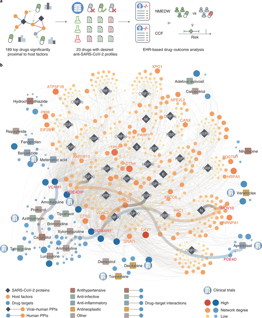 基于相互作用組的新冠肺炎宿主靶向治療的新發(fā)現