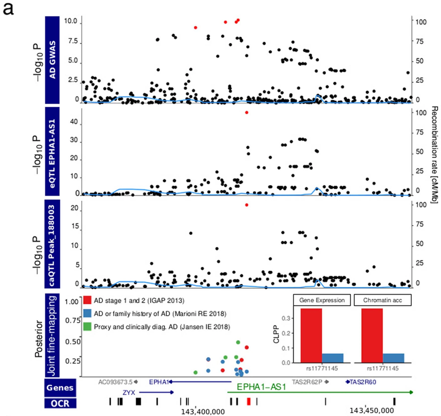 EPHA1-AS1基因調(diào)控小膠質(zhì)細(xì)胞的轉(zhuǎn)錄和染色質(zhì)可接觸性的AD病原學(xué)積分圖