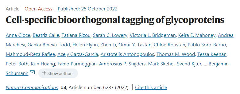 科學(xué)家團(tuán)隊(duì)開發(fā)了新方法可以識(shí)別由特定類型的細(xì)胞釋放的蛋白質(zhì)