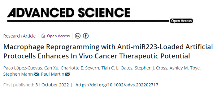 一種重新編程免疫細胞以縮小或殺死癌細胞的新方法