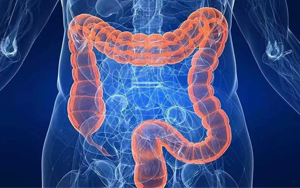 曬太陽真的能防癌？186國數據研究重磅出爐，紫外線照射不足或成結直腸癌潛在致病原因