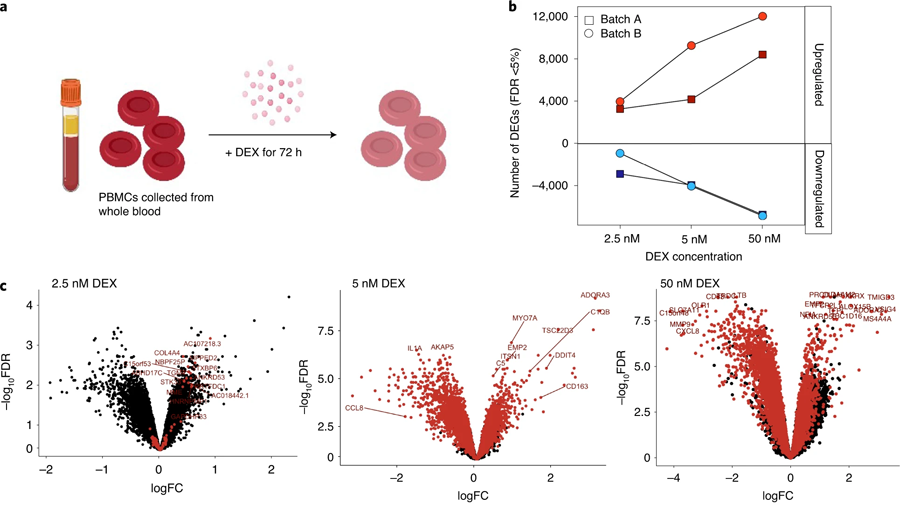 周邊血液?jiǎn)魏思?xì)胞對(duì)地塞米松的轉(zhuǎn)錄相應(yīng)