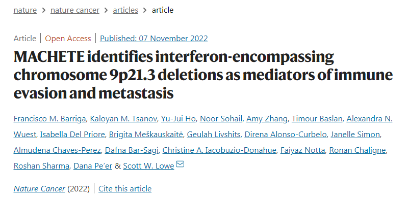 使用MACHETE，研究人員發(fā)現(xiàn)一個(gè)明顯的缺失通常會消除一組干擾素基因，導(dǎo)致胰腺癌和黑色素瘤小鼠模型的預(yù)后較差