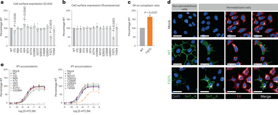 編碼5-HT2CR的基因中的人類變體導致細胞功能喪失