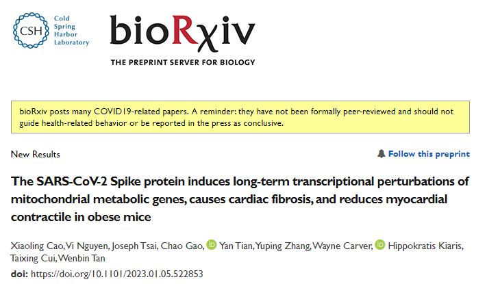 研究團隊發(fā)現(xiàn)新冠病毒的S蛋白可誘導線粒體代謝基因的長期轉錄抑制并導致心臟纖維化和心肌收縮損傷