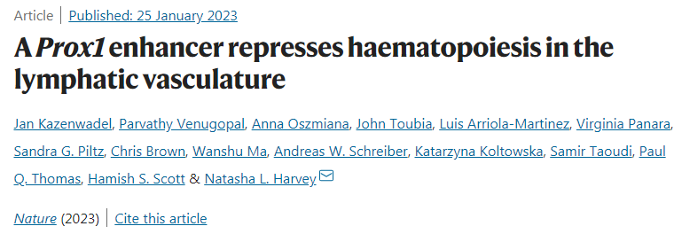 科學家發(fā)現(xiàn)淋巴管可以產(chǎn)生紅細胞和白細胞