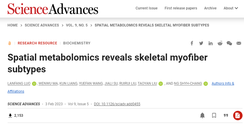 科學(xué)家們首次在小鼠腿上發(fā)現(xiàn)了一種新的超快2B型肌纖維亞型