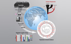 為什么我們對(duì)新冠等疾病的反應(yīng)不同？Immunity發(fā)現(xiàn)人與人之間T細(xì)胞受體基因存在很大差異