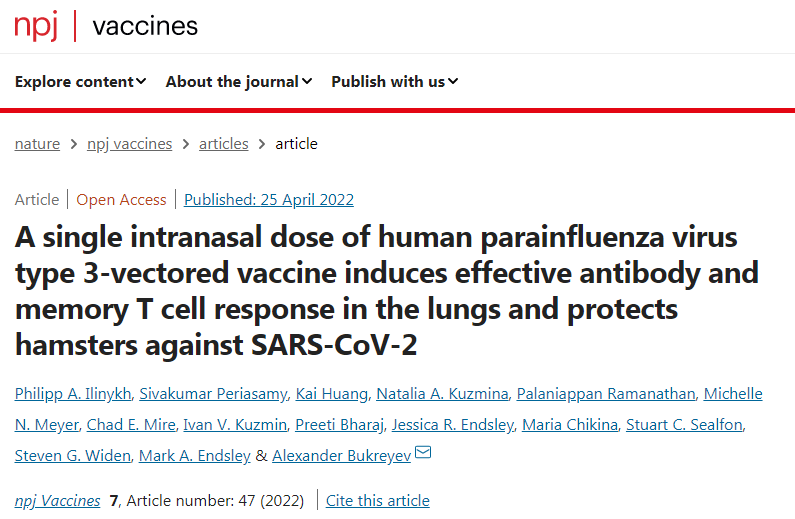 鼻腔接種新冠疫苗能引起呼吸道黏膜免疫反應(yīng)
