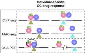 舊藥可新用！Cell子刊揭示糖皮質(zhì)激素藥物相關(guān)副作用的遺傳位點(diǎn)