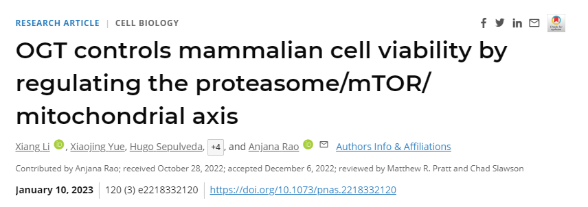 研究人員終于發(fā)現(xiàn)了一種名為O-GlcNAc轉(zhuǎn)移酶(OGT)的酶在維持細(xì)胞健康中的作用