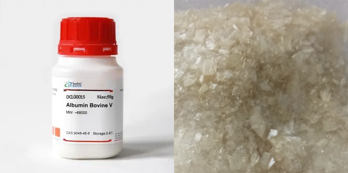 牛血清白蛋白，BSA，第五組分