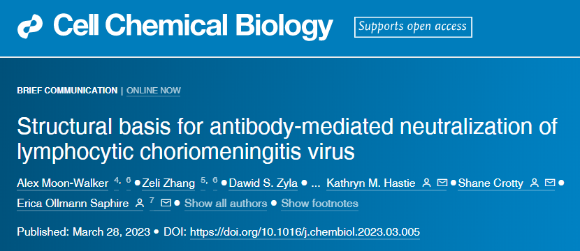 研究表明一種抗體可以結(jié)合并中和LCMV