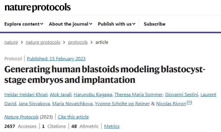  2023年研究團(tuán)隊(duì)描述了如何形成人類(lèi)母細(xì)胞