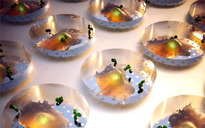 Nature子刊：實時蛋白質(zhì)分泌檢測技術