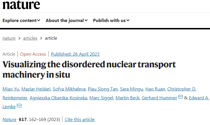 科學家們發(fā)現(xiàn)毛孔中心的內在無序蛋白質是如何形成移動屏障