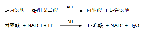 谷丙轉(zhuǎn)氨酶（ALT）檢測原理