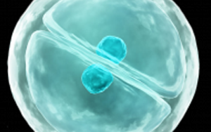 eLife：細(xì)胞真是“成精了”，它能模仿人類交流方式，一旦“關(guān)系”破裂，癌癥和糖尿病都找上門