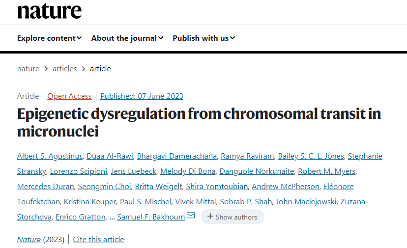 表觀遺傳改變改變細胞中基因的開啟或關(guān)閉，但不改變細胞的DNA