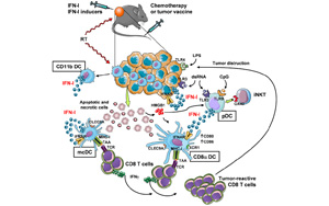 Science | 重要發(fā)現(xiàn)！斯坦福大學巧妙改造皮膚細菌，激活免疫助力抗癌