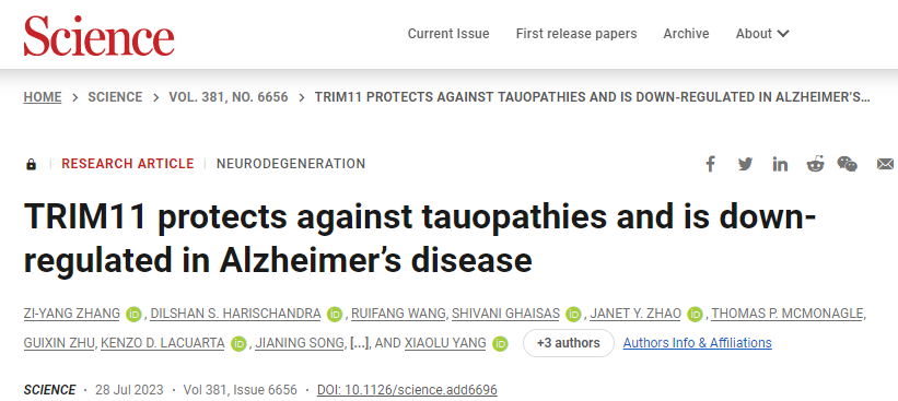 使用堿基編輯技術(shù)生成嵌合抗原受體(CAR) T細(xì)胞