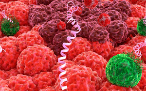 養(yǎng)殖業(yè)“替抗”破局利刃？--抑菌肽