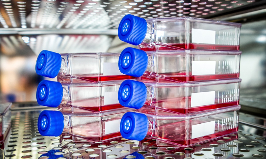 生物制藥中細胞培養(yǎng)