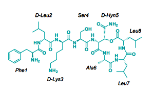 突破！可殺死耐藥菌的新型抗生素