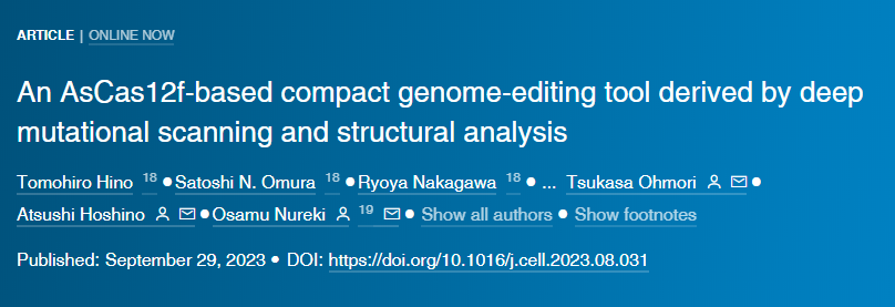 基于AsCas12f的緊湊型基因組編輯工具