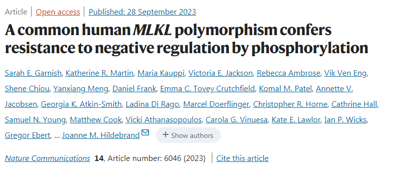 一種常見的人類多態(tài)MLKL通過磷酸化賦予負(fù)面調(diào)控抗性