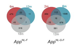 海馬體的代謝升高是阿爾茨海默病的早期征兆