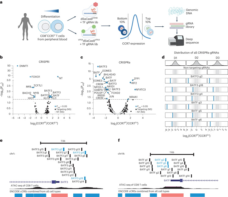 T細胞耗竭的特征是代謝重編程