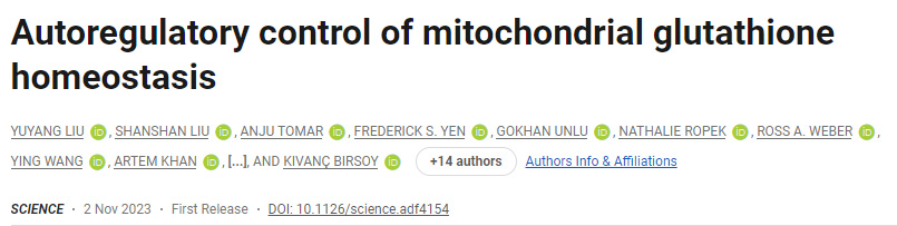 線粒體谷胱甘肽穩(wěn)態(tài)的自我調(diào)節(jié)控制