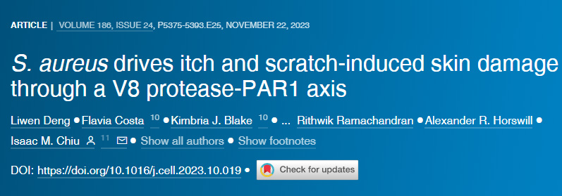 金黃色葡萄球菌通過V8蛋白酶-PAR1軸引發(fā)瘙癢和因抓撓引起的皮膚損傷