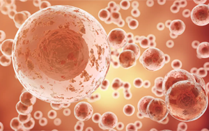 破解密碼：首次發(fā)現(xiàn)TP53突變蛋白的哪些特征對推動癌癥生長至關(guān)重要